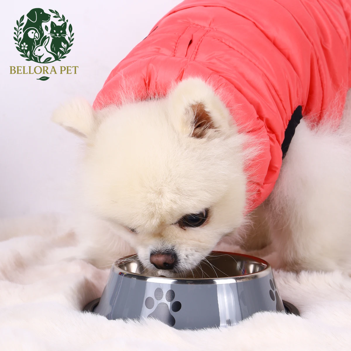 ChowChamp™ Stainless Steel Pet Bowl – Tough, Tidy & Tail-Wagging Ready