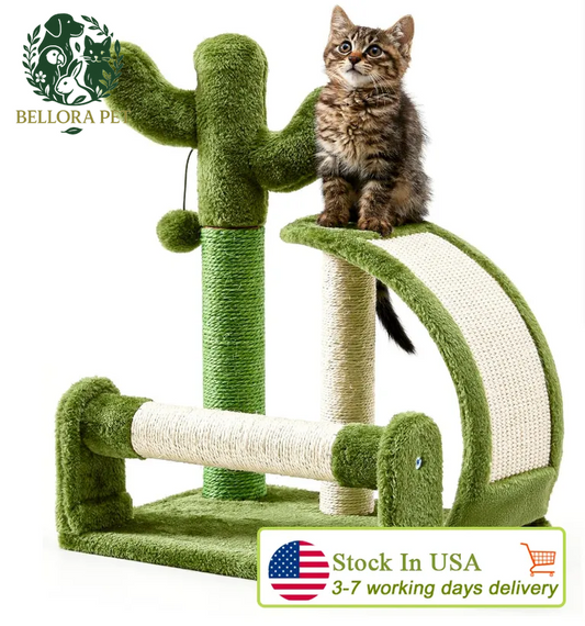 Prickly Playtime™ Cactus Scratcher – Desert-Inspired Claw & Play Post