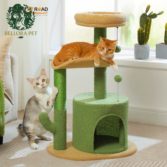 Cactus Oasis™ Cat Tree – Cozy Condo, Curved Perch & Scratch Post Playground