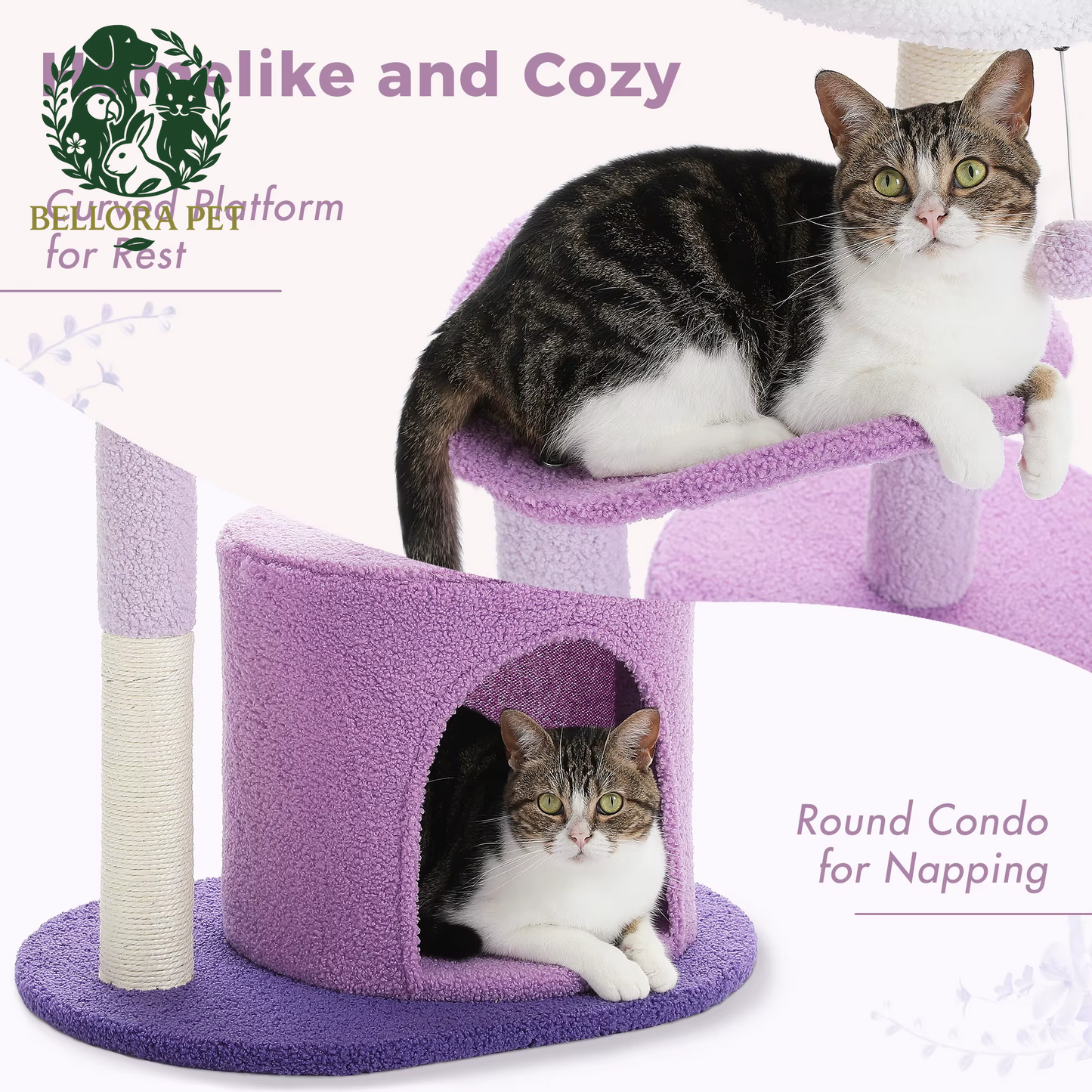 Cactus Oasis™ Cat Tree – Cozy Condo, Curved Perch & Scratch Post Playground