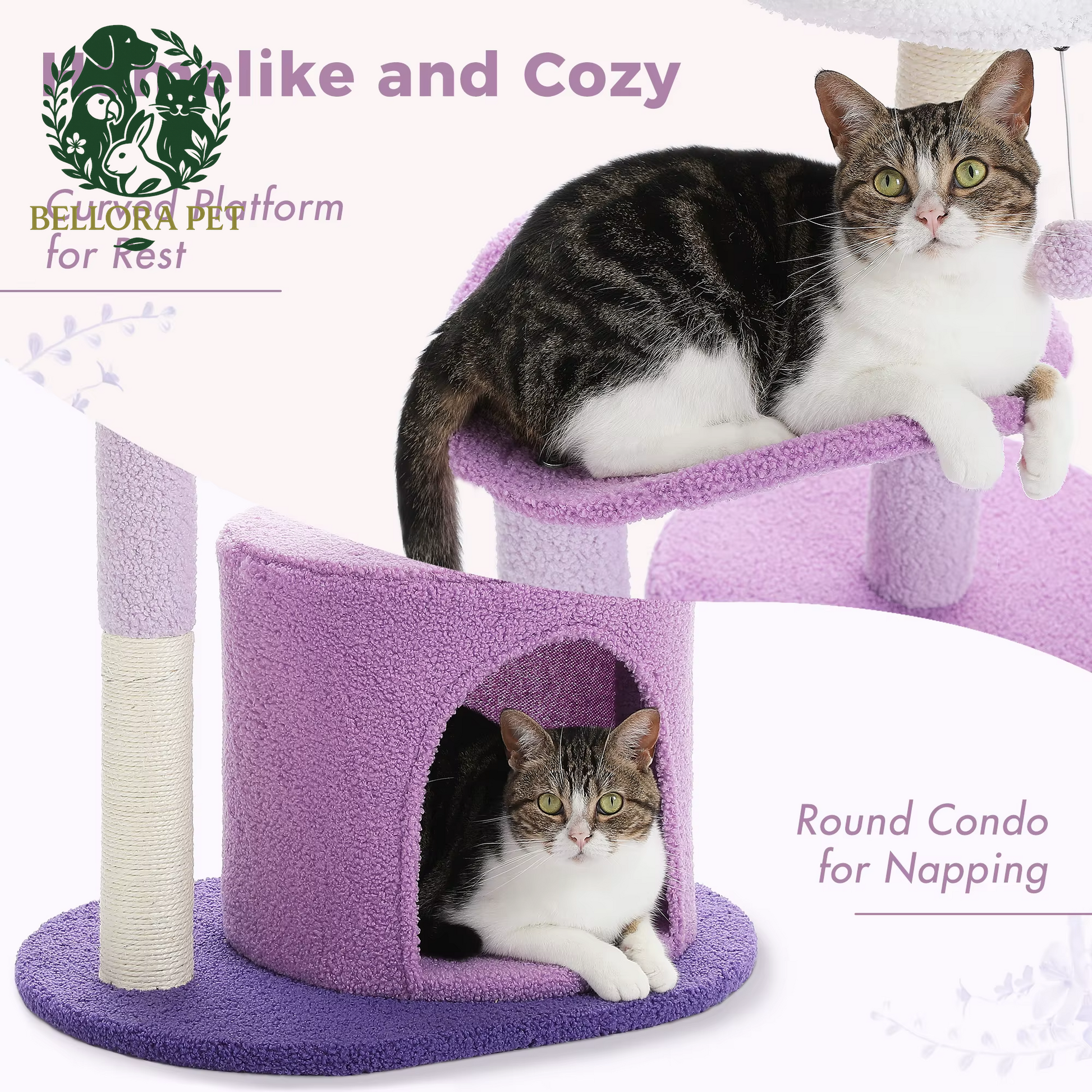 Cactus Oasis™ Cat Tree – Cozy Condo, Curved Perch & Scratch Post Playground