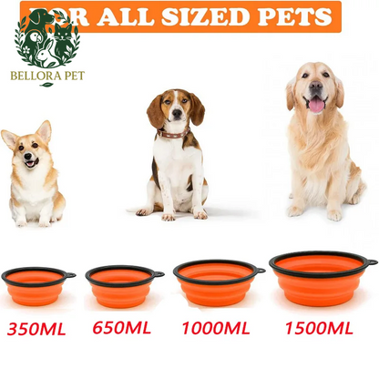 GoBowl™ 2-in-1 Travel Feeder – Clip, Flip & Feast Anywhere